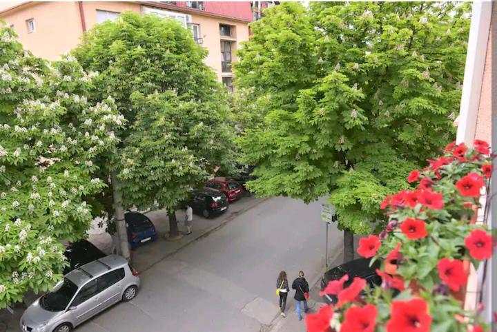 Milica Apartments Scopia Exterior foto